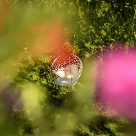 Appartamento Alpen-nest