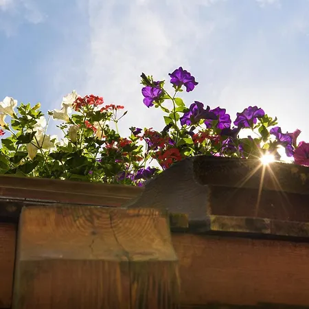 Alpen-nest Appartamento Grossarl