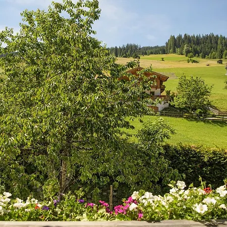 Alpen-nest Apartment Grossarl