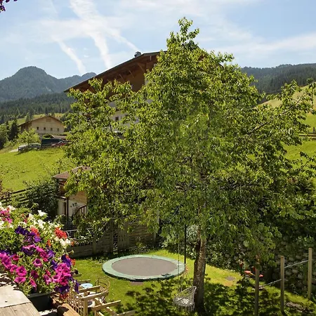 Alpen-nest Daire *