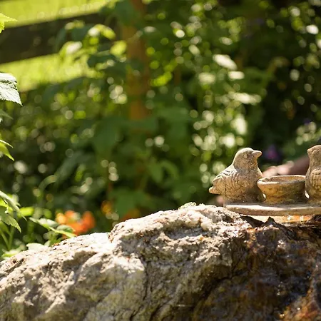 Appartamento Alpen-nest *