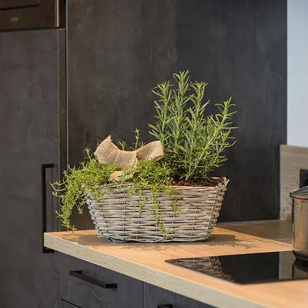 Alpen-nest Apartment